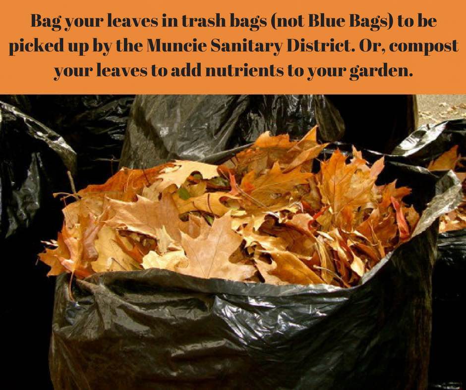 For Immediate Release MSD Leaf Season Pickup begins November 4th, 2019 Muncie Sanitary District
