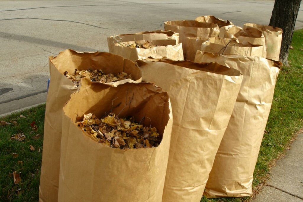 Press Release Announcing Annual Leaf Season Pickup for 2020 Muncie